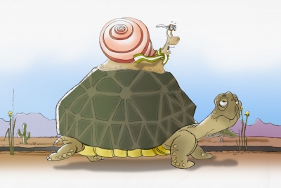 tortoise/snail