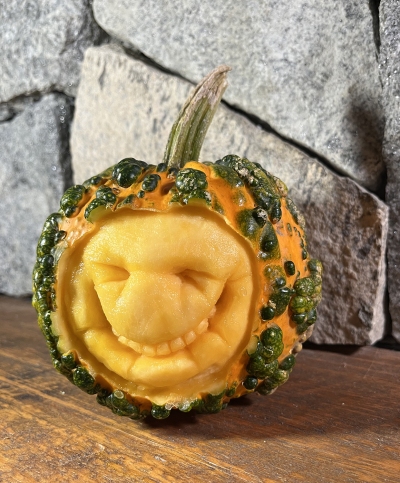 SMILE-GOURD